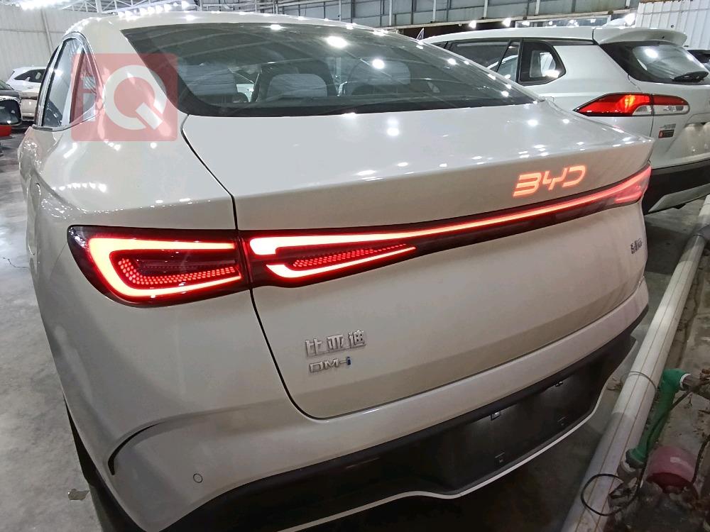 بي واي دي سيل 06 DM-i